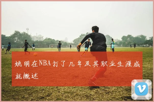 姚明在NBA打了几年及其职业生涯成就概述