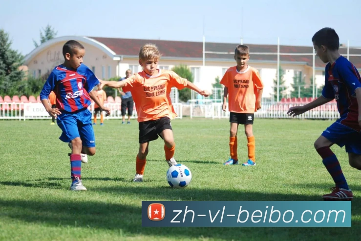 BB体育下载品牌故事